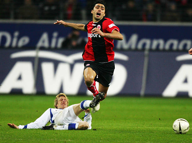 葡体主席在 葡体主席在